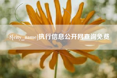 中国台湾执行信息公开网查询免费