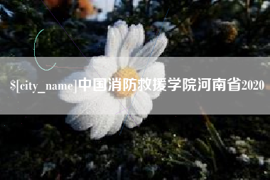 中国台湾中国消防救援学院河南省2020